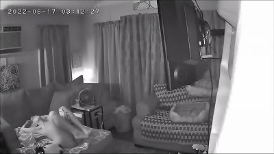Security cam grasps slutty bare Airbnb housekeeper opening up